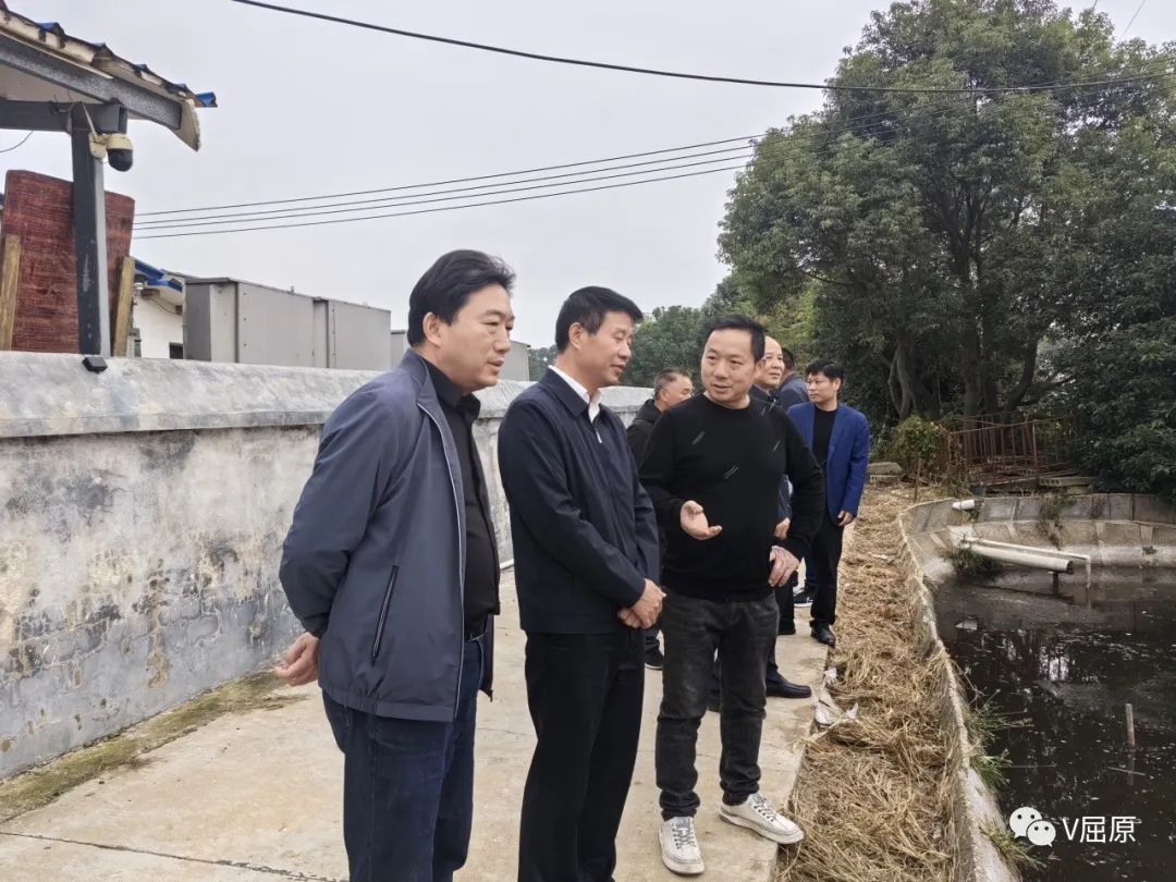 践行“四下基层”   向科军实地调研河市镇平安村生猪养殖粪污资源化利用工作