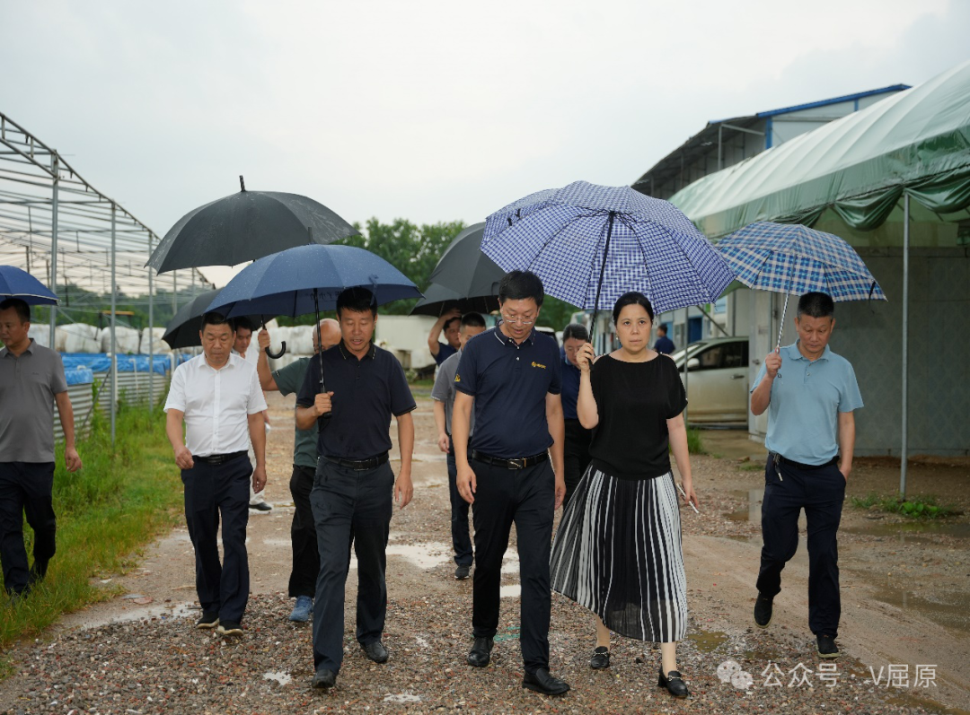 向科軍帶隊赴湖南莧鮮生態(tài)科技有限公司開展招商考察