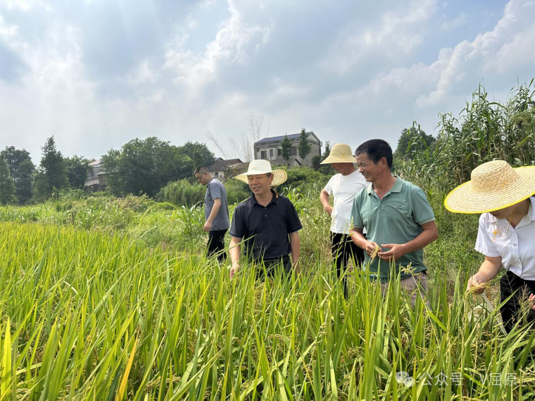 向科军深入基层一线宣讲党的二十届三中全会精神 调研农业适度规模经营情况