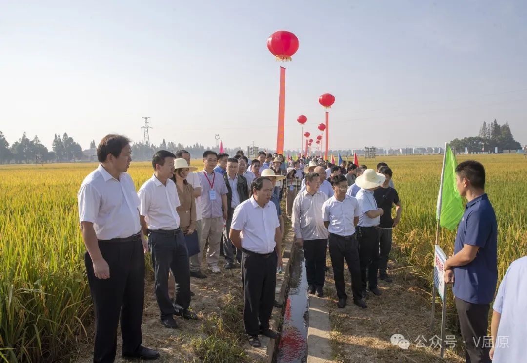 2024洞庭湖生态区种业发展峰会暨“看禾选种”现场观摩会在屈原管理区举行