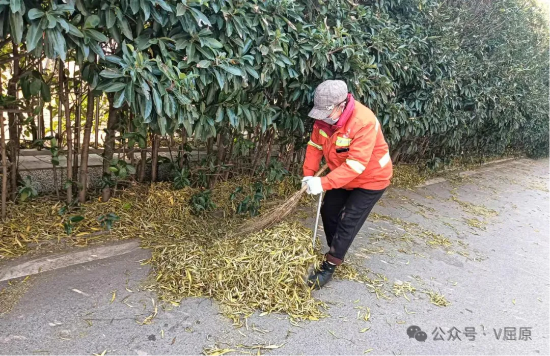 扮“靓”城市迎新春 穿上“新衣”贺佳节