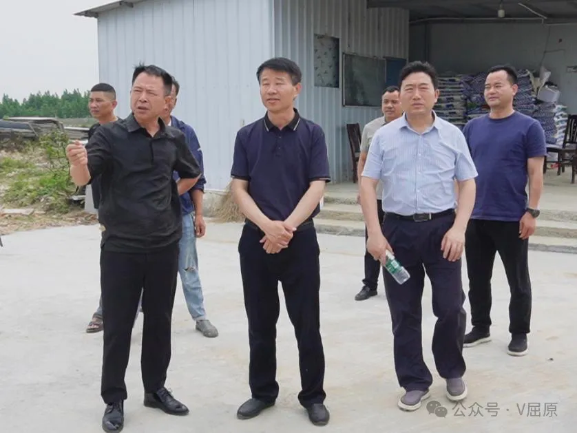 向科军调研全区稻虾养殖工作