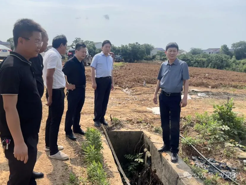 沈小星到凤凰乡开展“走找想促”调研