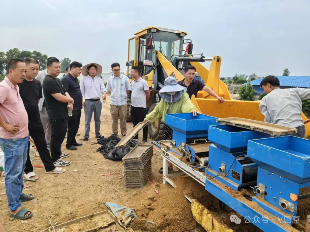 凤凰乡召开早稻生产、  晚稻育秧工作部署会