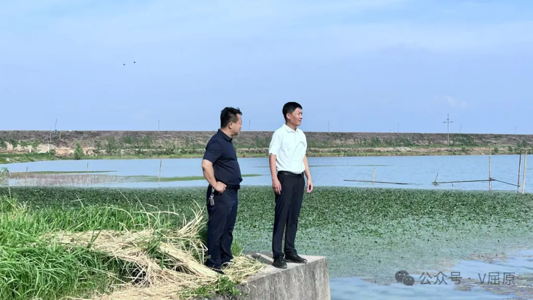 沈小星赴鳳凰鄉(xiāng)調(diào)研防溺水工作