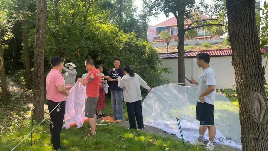 聚焦蚊媒防控  區(qū)疾控中心為群眾健康“護航”