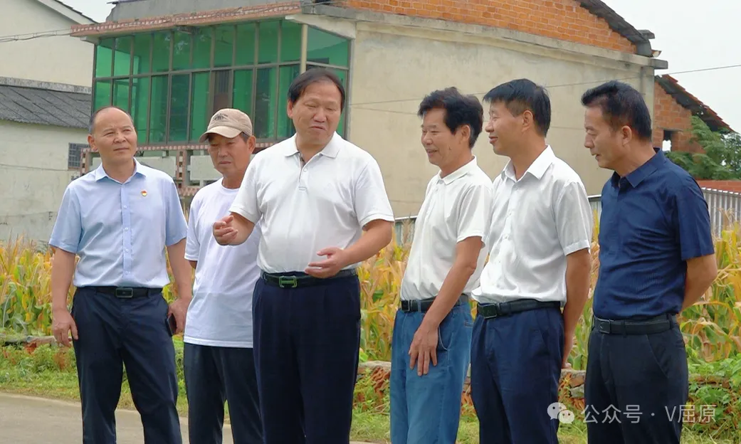 屈原管理区召开2025年全域水稻单产提升行动第四次工作座谈会