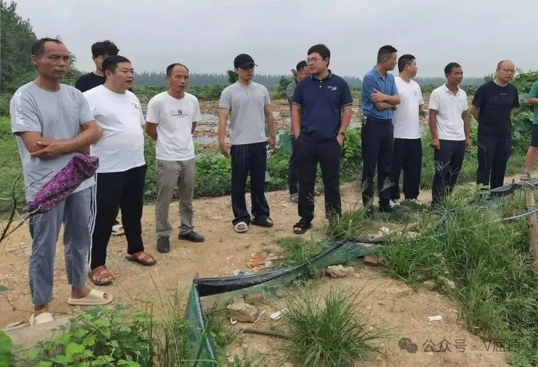 屈原管理区农业农村局开展稻虾田绿色控草技术示范现场观摩及田间培训