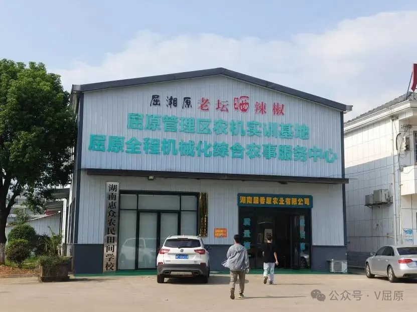 屈原管理區(qū)鳳凰鄉(xiāng)：“曬”出辣椒好味道，邁向返鄉(xiāng)致富路