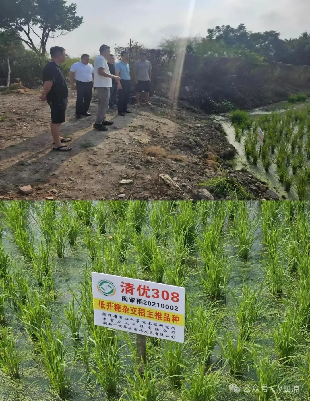 向科军赴福建招商考察