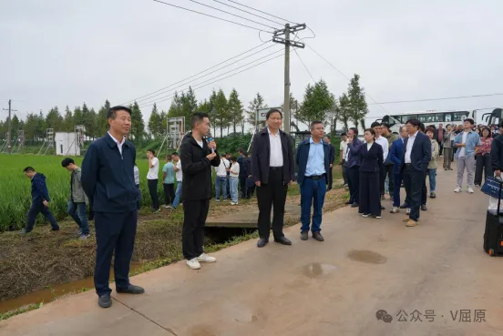 “田间观摩+专家授课”，解锁水稻增产“新密码”——全省水稻大面积单产提升技术培训班在屈原管理区开班