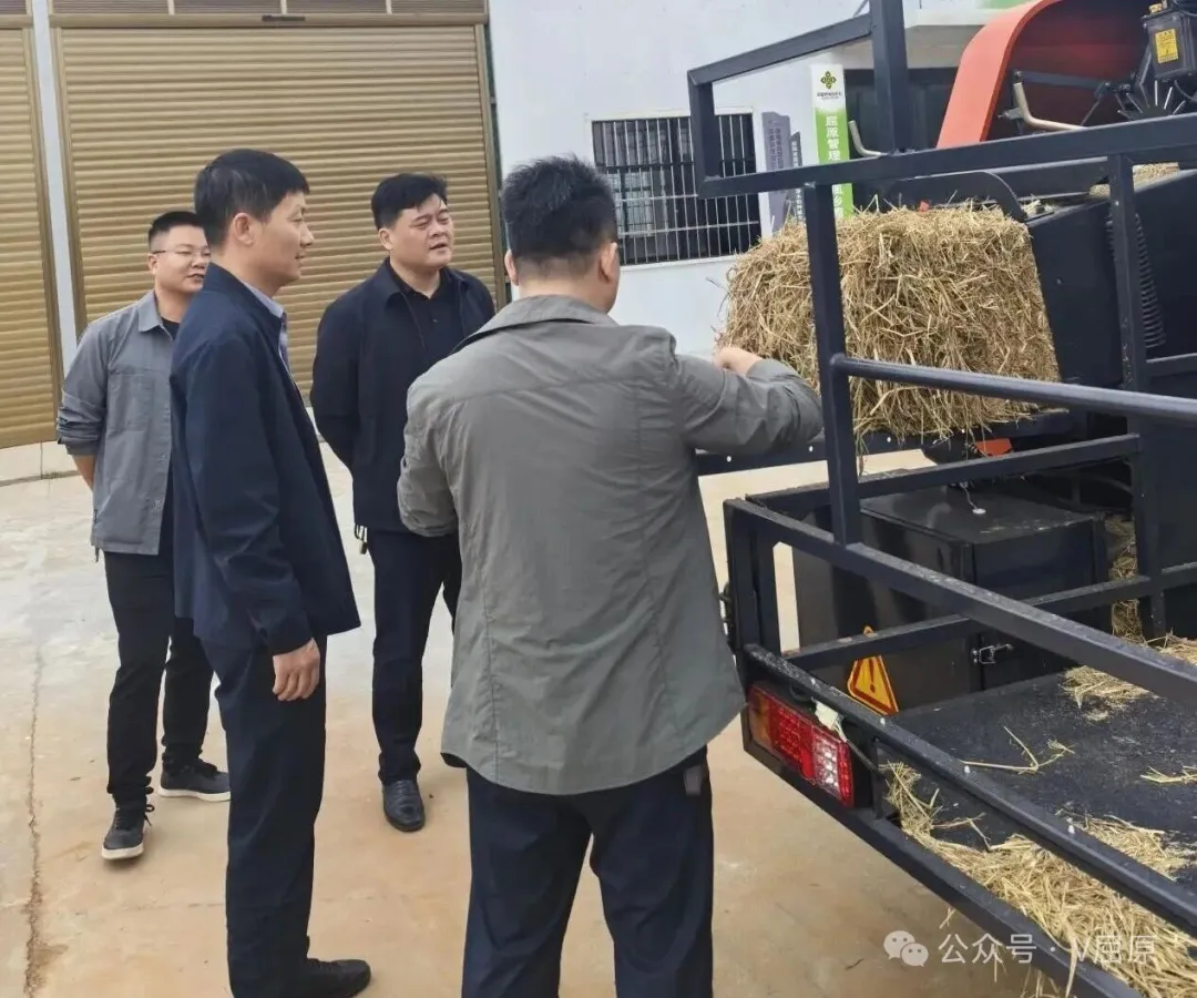 沈小星到凤凰乡开展走访调研