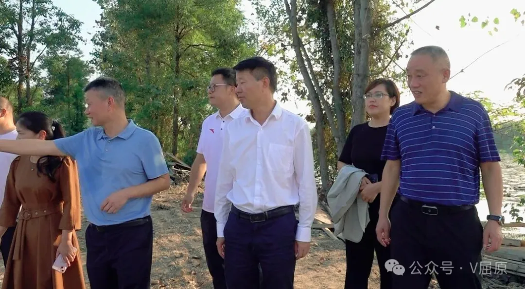 向科军专题调研候鸟栖息地建设与保护工作