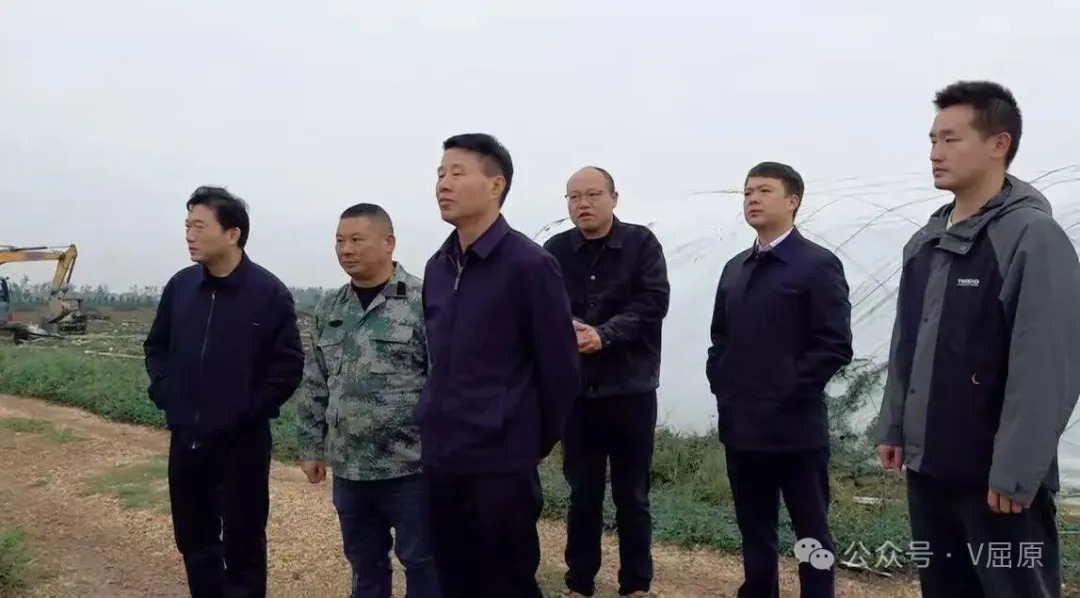 向科军调研全区农业生产及秋冬种工作