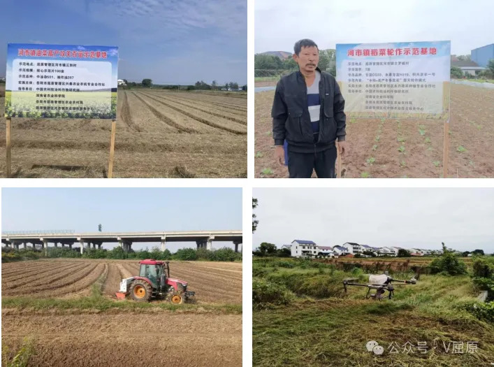 夯实秋冬种根基 绘就来年丰收图