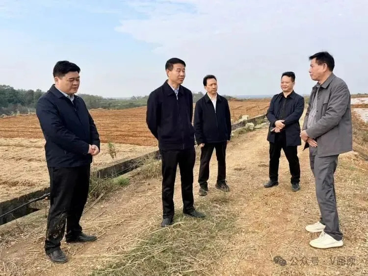 向科军赴凤凰乡调研：做实当前工作，提前筹划明年