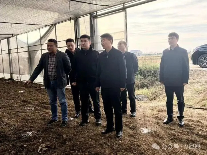 振奋精神、实干创新 打造“文化强镇” 向科军赴营田镇调研