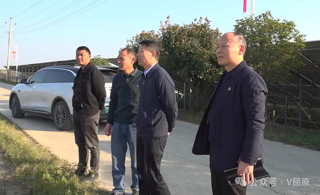 向科军深入河市镇三和村调研督导巩固拓展脱贫攻坚成果同乡村振兴有效衔接工作