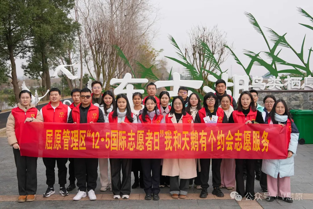屈原管理区开展“12·5国际志愿者日”生态屈原“我和天鹅有个约会”志愿服务活动