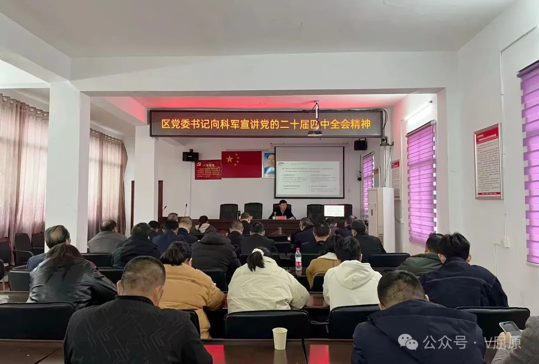 向科军深入河市镇三和村宣讲党的二十届四中全会精神