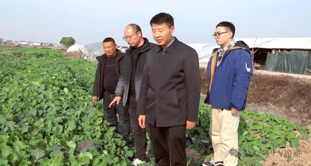 冬闲田不闲 一线问农桑——向科军实地调研冬季农业生产及春耕备耕工作