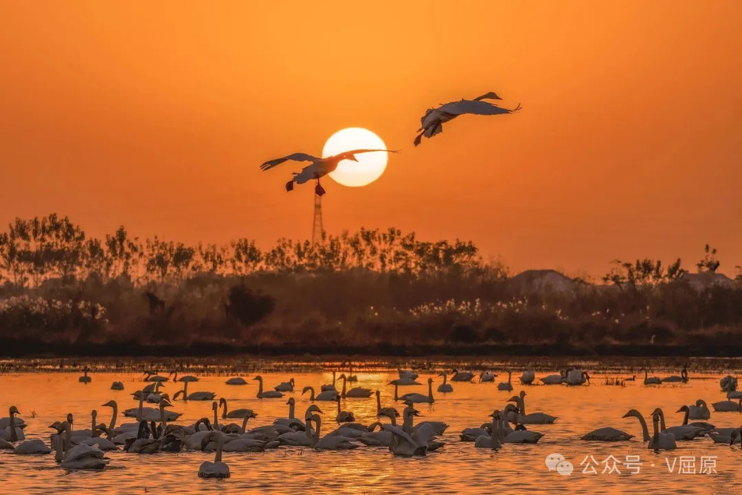 快投稿，摄影大赛恭候您的佳作！来稿选登（4）