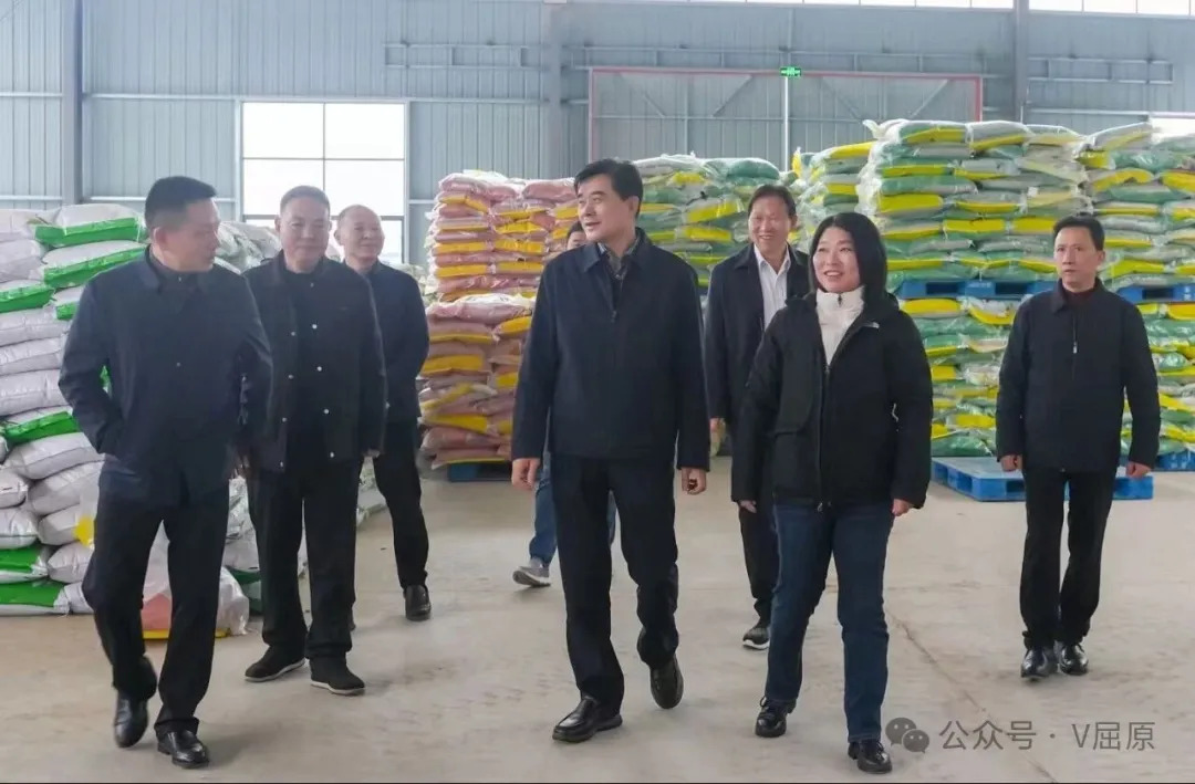 柏连阳院士到屈原管理区调研2026年水稻大面积单产提升筹备工作