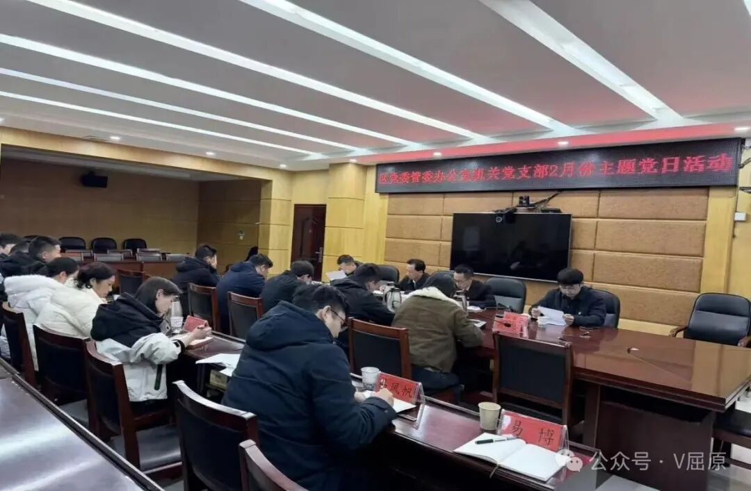 深学细悟、凝心聚力——区党委管委办公室机关党支部“新春第一课”开讲