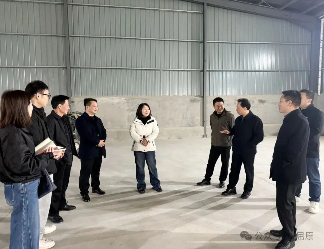 赵婷深入一线调研春耕备耕工作