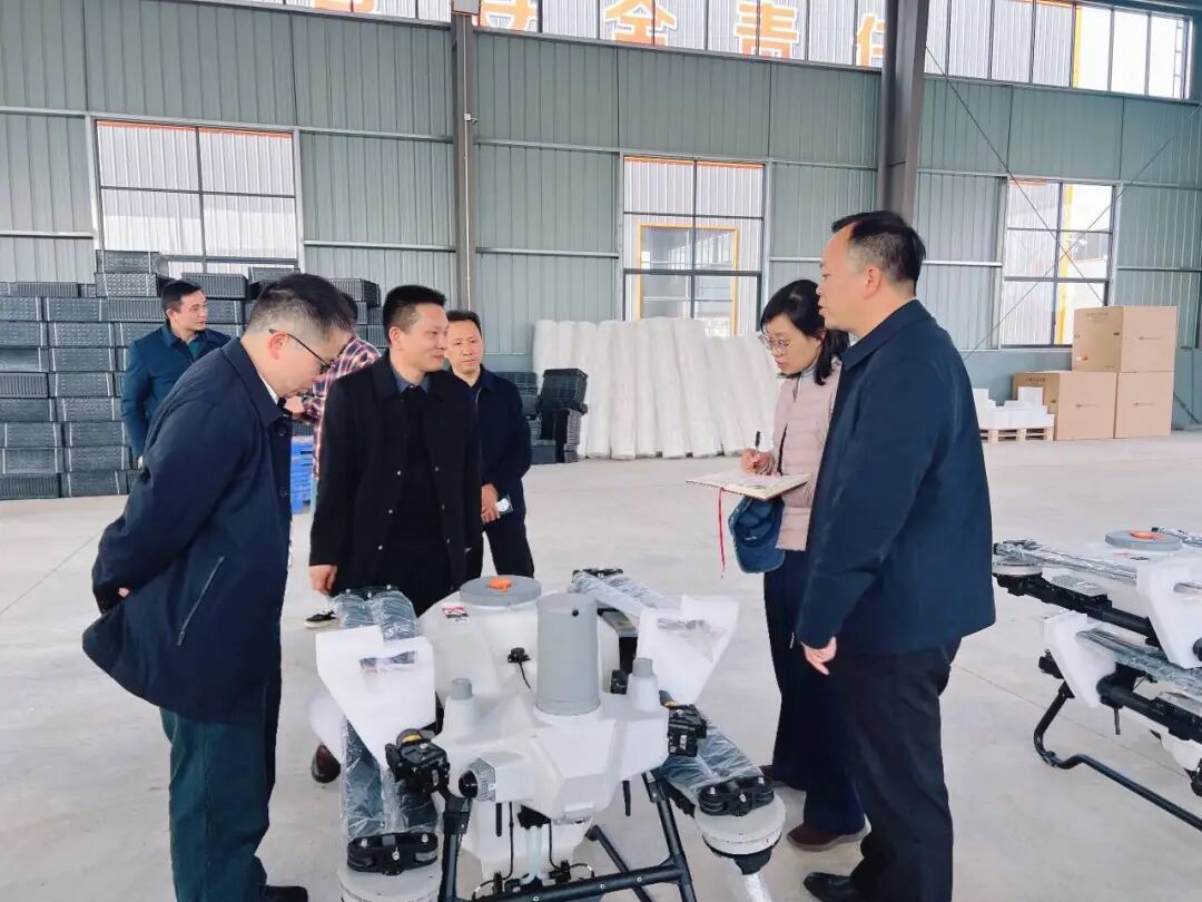 全国农技推广中心领导调研指导屈原管理区植保工作