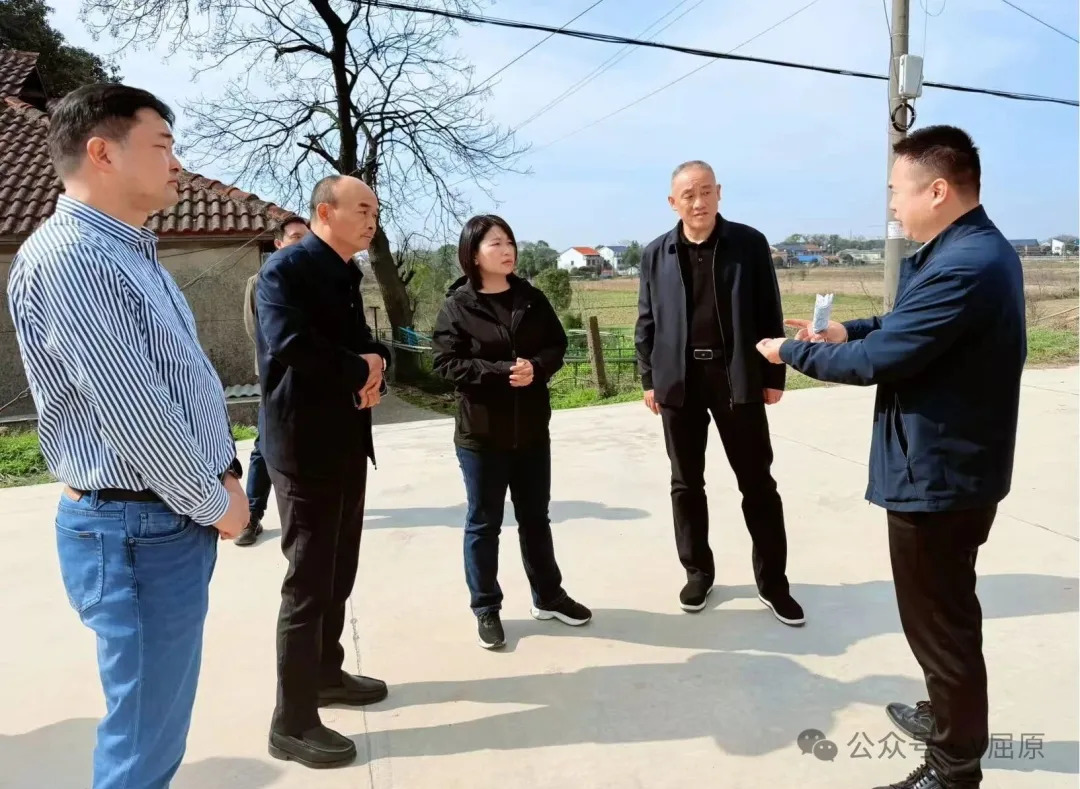 赵婷专题调研水利工作并开展2026年一季度巡河