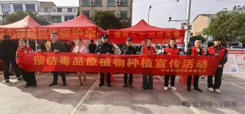 屈原管理区党委政法委开展禁种铲毒集中宣传活动