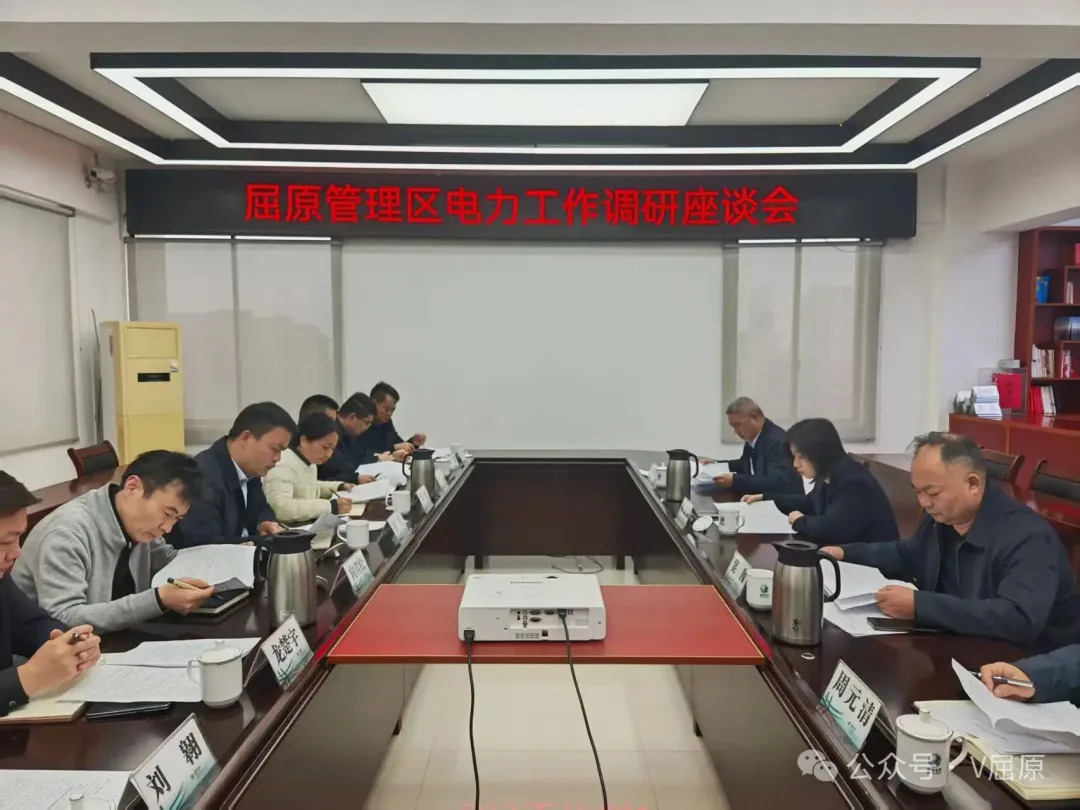 湛江带队调研全区电力工作