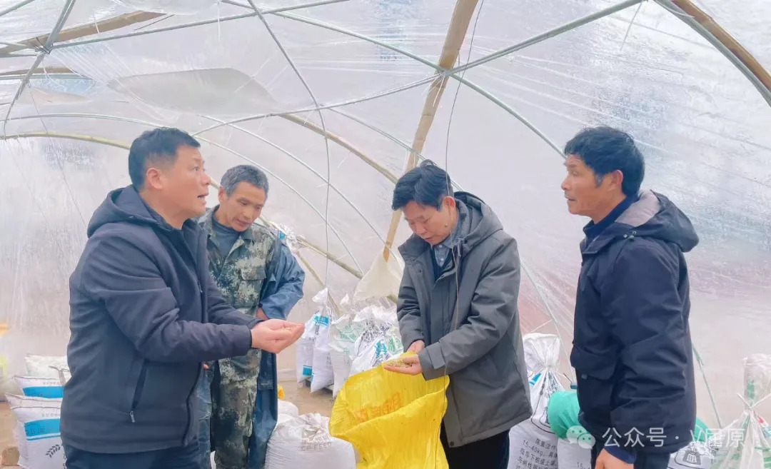 冒雨把脉送良方，精准服务护春耕