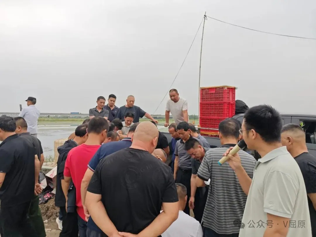 对标先进取真经 笃行实干促振兴  屈原管理区组织稻虾养殖户赴湖北咸宁学习生态大虾养殖模式