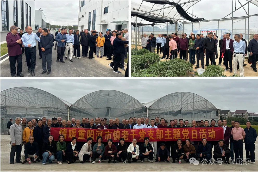 银龄赴约看新景，重阳共学话治理  河市镇连续六年组织离退休老干部开展重阳节活动